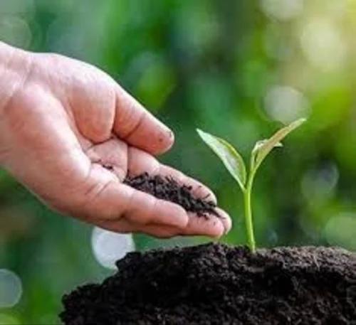 Agricultural fertilizers, bio nutrients, humic acid, and water soluble NPK manufacturer in India