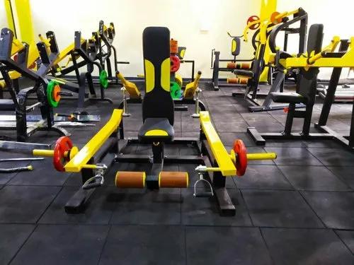 Dual Function Piston Tricep Pushdown & Shrug Machine