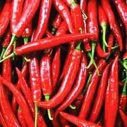 Teja S17 Stemless Hot Red Chilli (High Heat Export Grade)