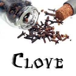 Selected Bold Whole Cloves (Zanzibar / Madagascar Sort)