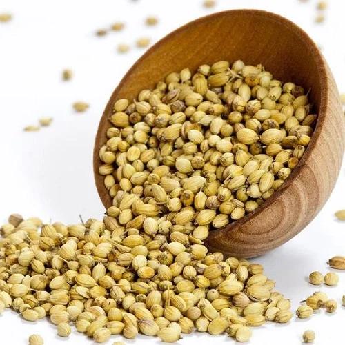 Green Whole Coriander Seeds / Dhania (Eagle & Scooter Grade)