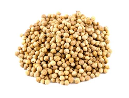 High-Aroma Whole Coriander Seeds (Badami / Export Quality)