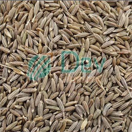 Machine Cleaned Dry Whole Cumin Seeds (99% Purity)