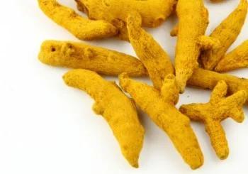 Rajapore / Erode Natural Polished Turmeric Finger