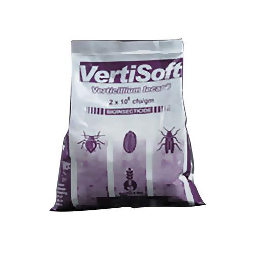 Verticillium Lecanii