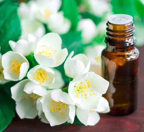 Jasmine Oil